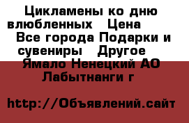 Цикламены ко дню влюбленных › Цена ­ 180 - Все города Подарки и сувениры » Другое   . Ямало-Ненецкий АО,Лабытнанги г.